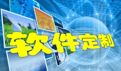 fms货代软件,外贸货代软件,物流货代软件,oa,erp,crm,外贸系统,进销存系统 专注软件定制开发